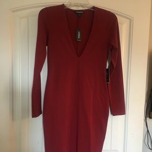 NWT Express form fitting dress